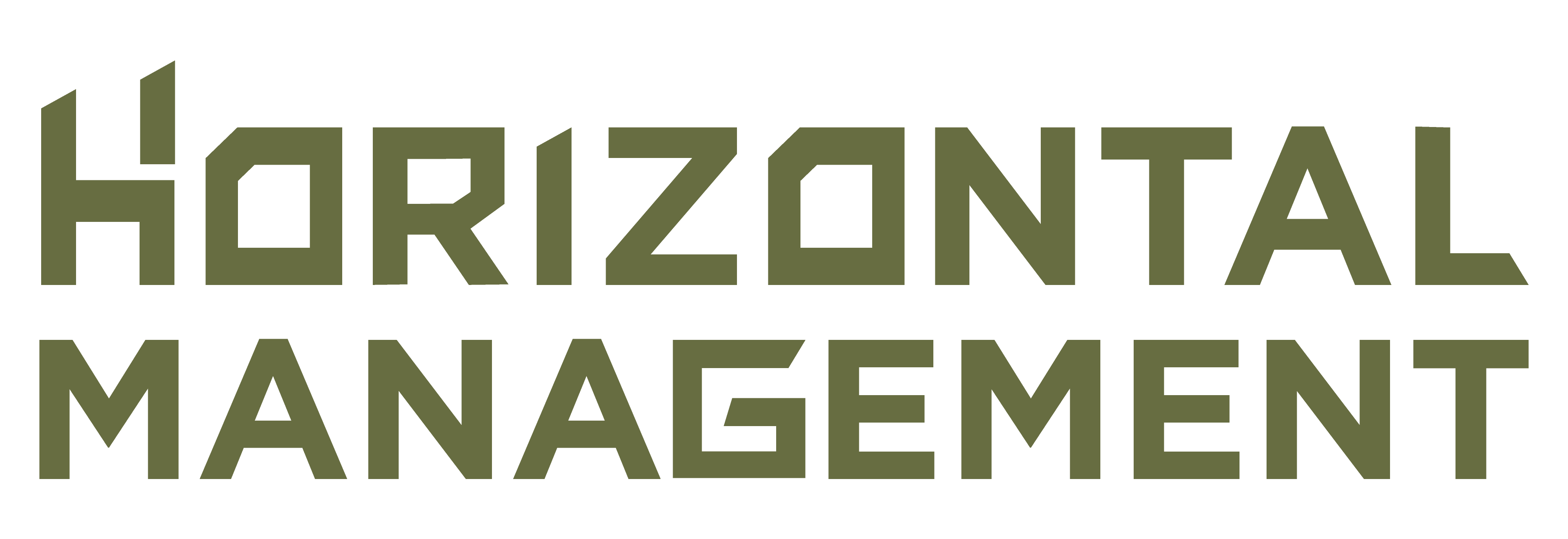 Horizontal Management